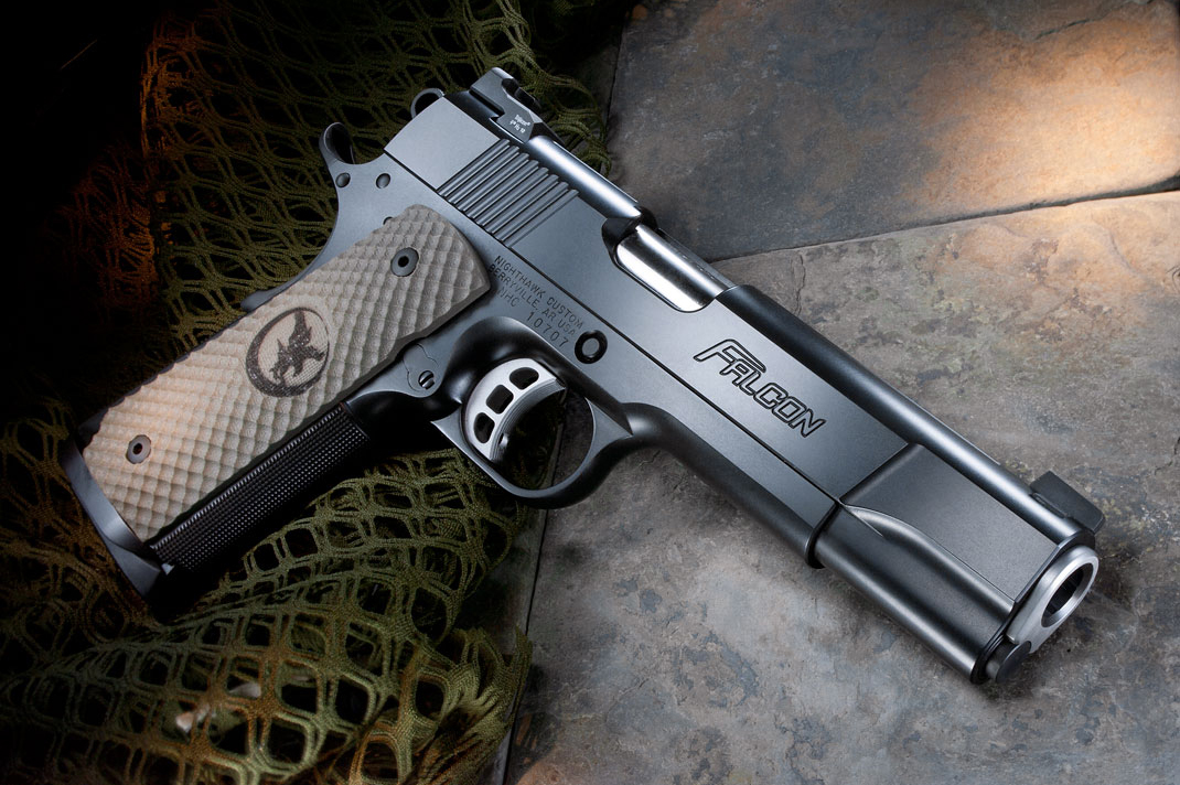 Nighthawk Falcon