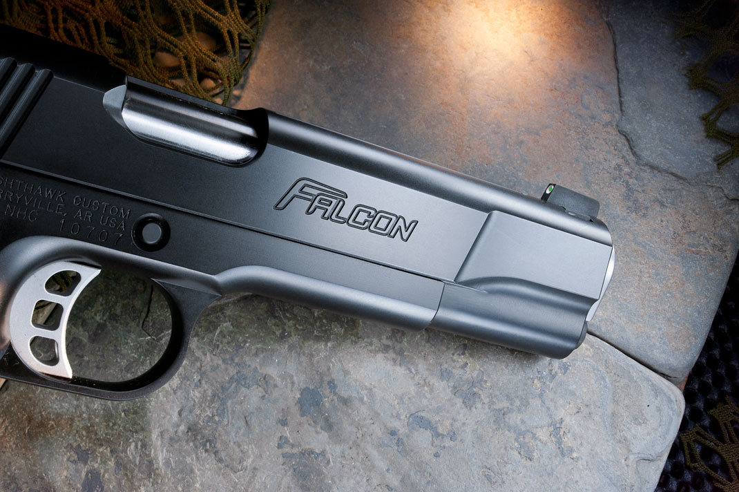 Nighthawk Falcon