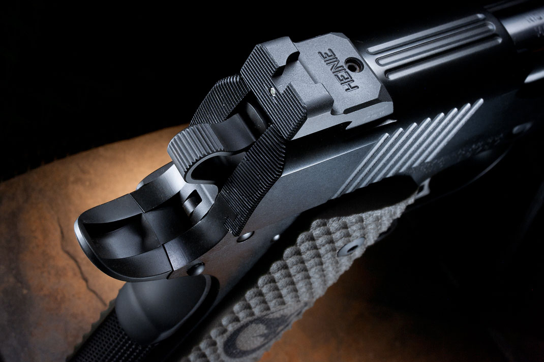 Nighthawk Falcon