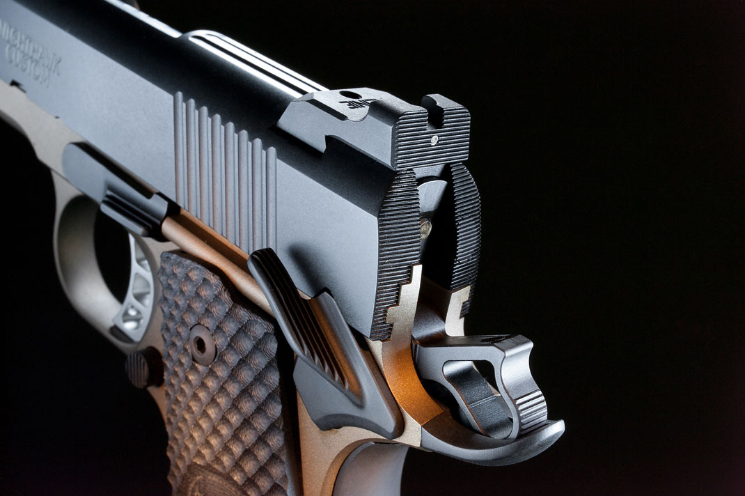 Nighthawk Falcon