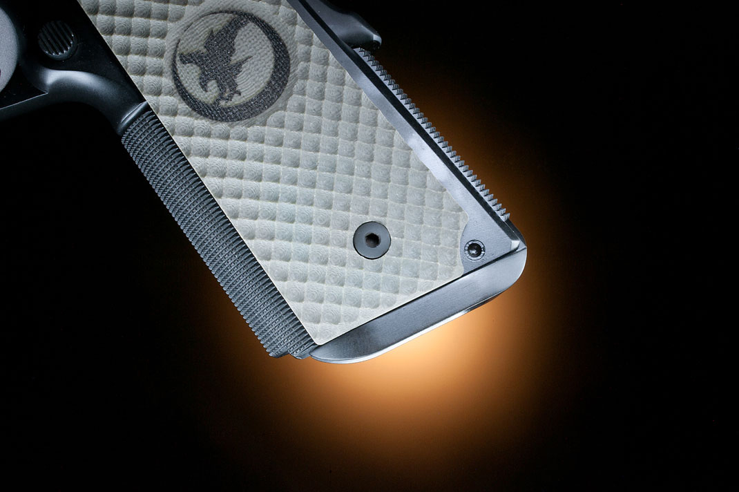 Nighthawk Falcon