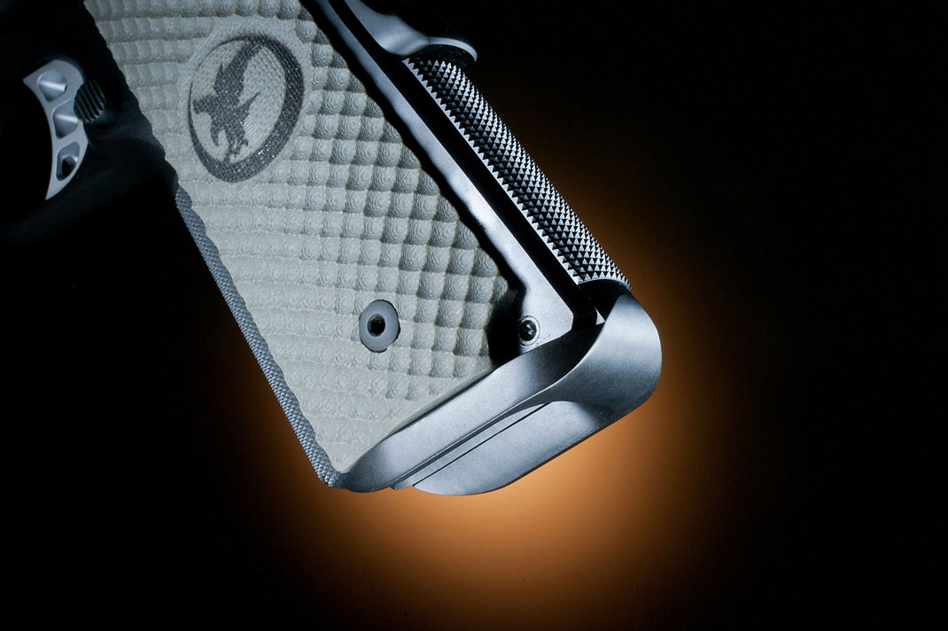 Nighthawk Falcon